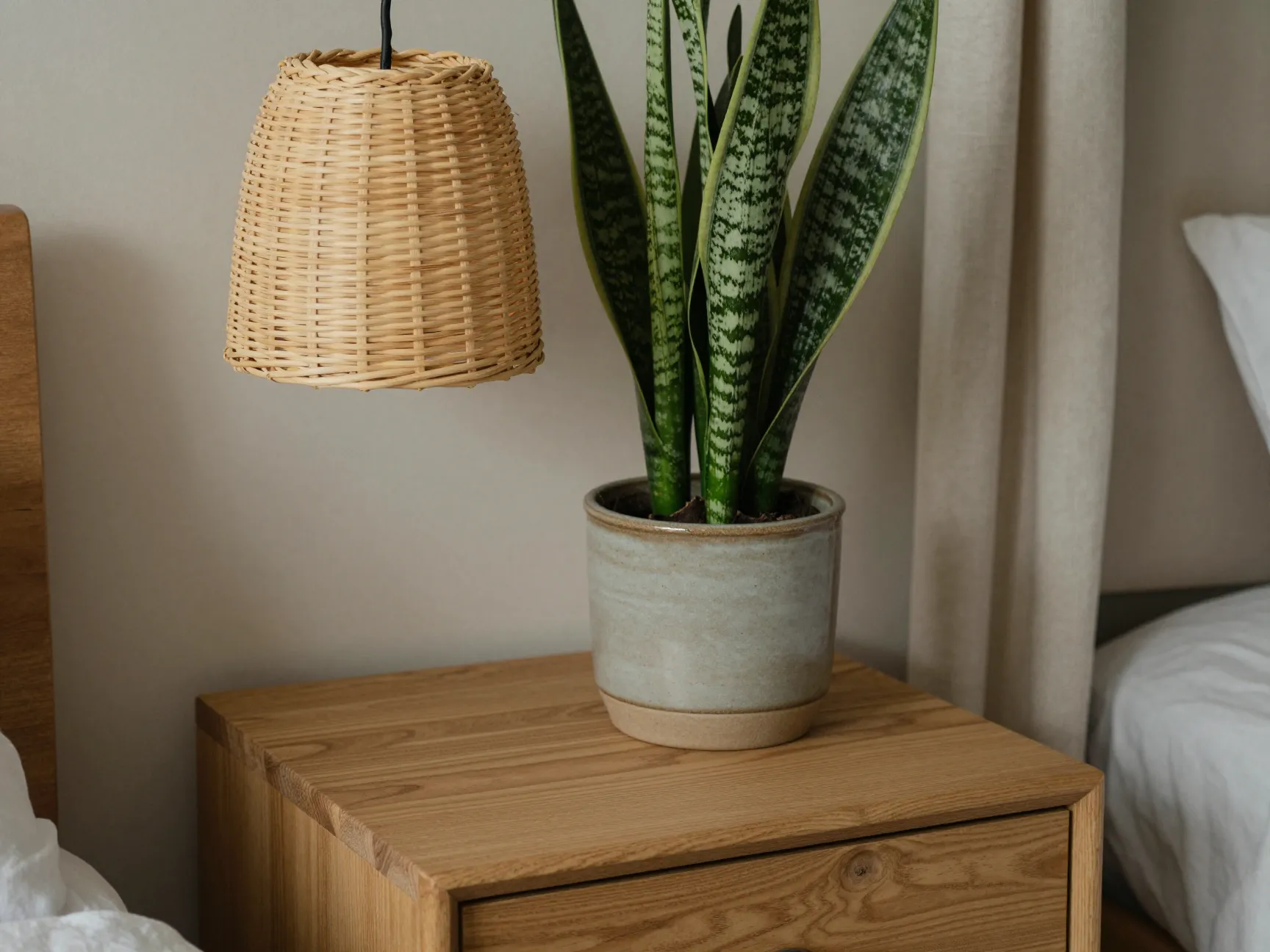 Introduce natural materials and biophilic touches