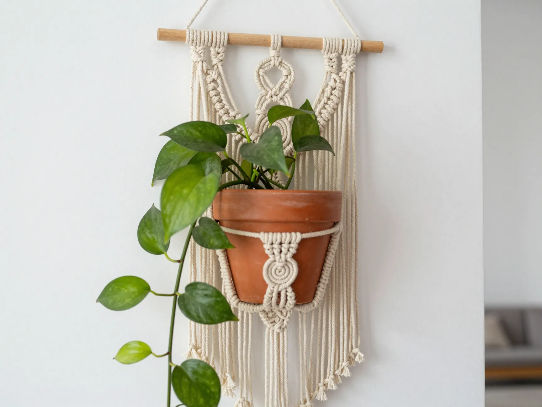 Macrame plant hangers