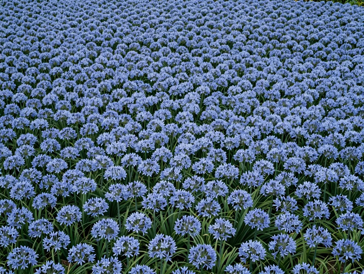 Sculptural planting and massed blooms as living art