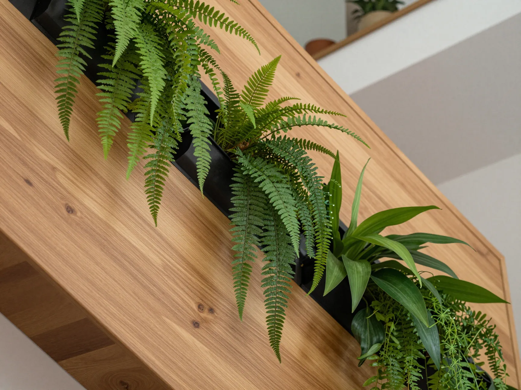 Nature inspired and biophilic elements