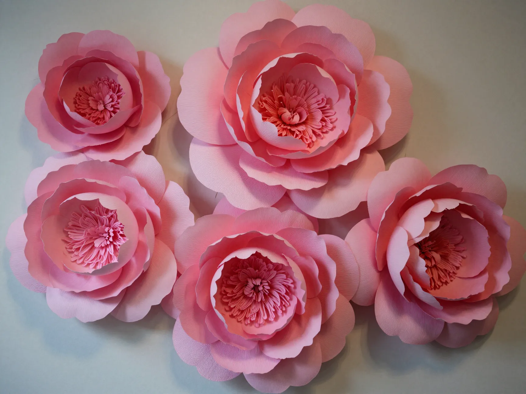 Giant crepe paper peony