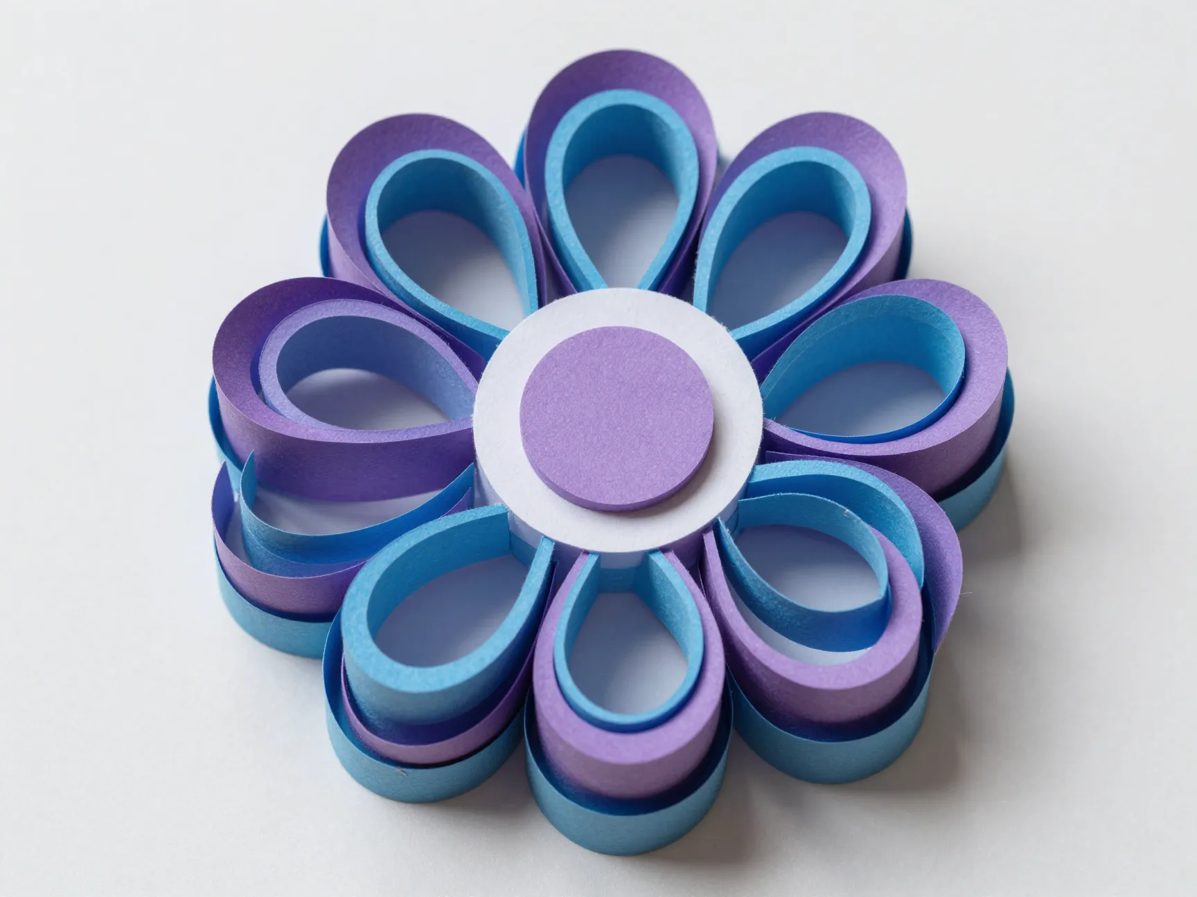 3d looped construction paper blooms