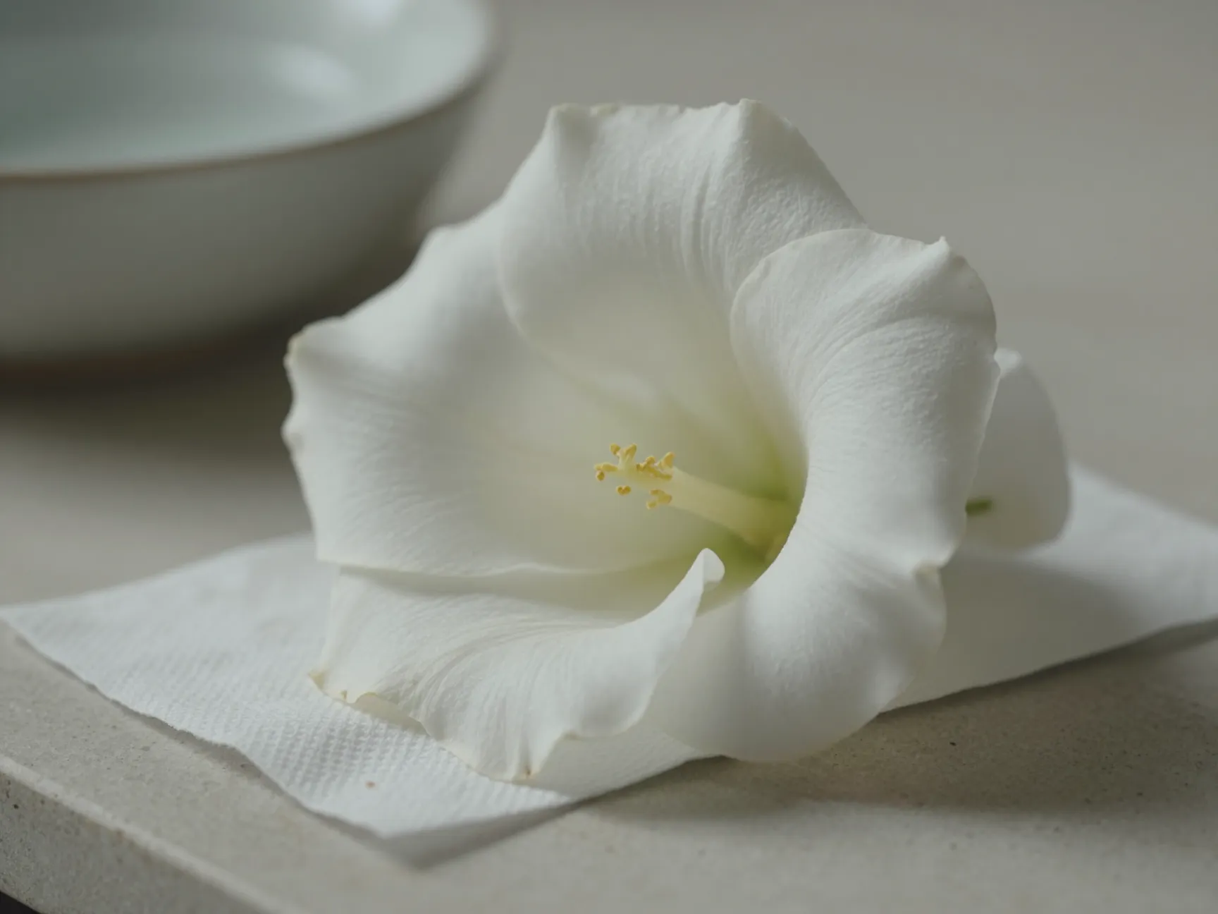 The water shaped petal bloom