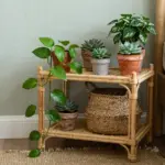 8 Aesthetic Room Decor Ideas That Make Your Space Look Pinterest-Perfect
