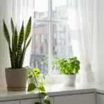 9 Dream Apartment Decor Ideas To Create Your Personal Sanctuary
