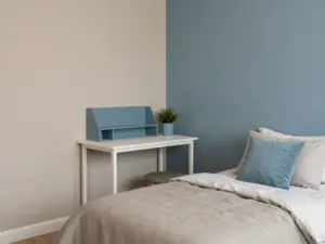 Read more about the article 8 Cute Room Decor Ideas For Teens That Are Stylish And Personal