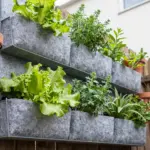 9 Home Garden Design Ideas For Your Small Outdoor Space