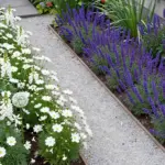8 Flower Garden Aesthetic Ideas To Create A Visually Stunning Display