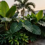 9 Terrace Garden Ideas To Create A Green Retreat Above The City
