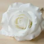 9 Whimsical Toilet Paper Flowers For A Quick Craft Fix