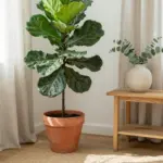 8 Home Decor Ideas That Will Make Every Room Feel Stylish and Inviting