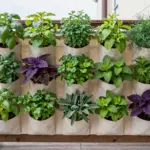 8 Creative Herb Garden Ideas For Cooking, Beauty, And Convenience